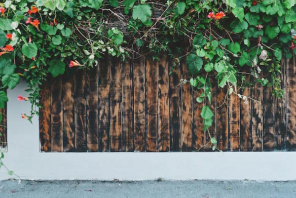 Pagar kayu dengan aksen tanaman merambat